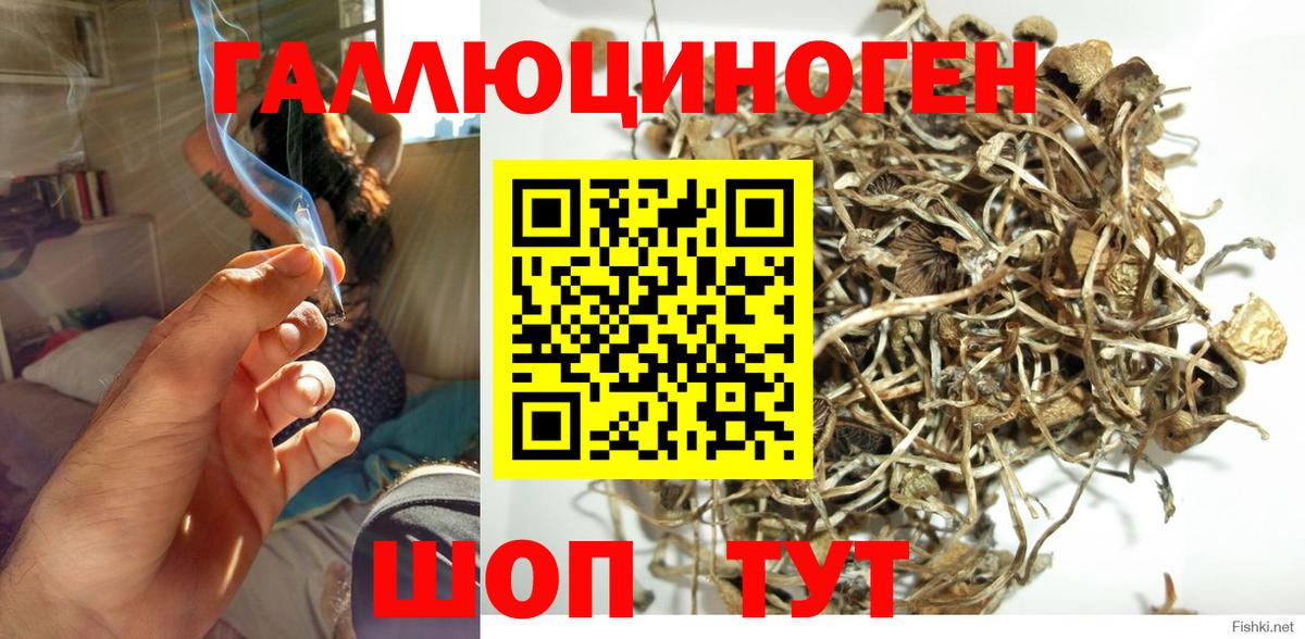 Назарово  Галлюциногенные грибы GOLDEN TEACHER  Вход с VPN  Галлюциногенные грибы Psilocybe 